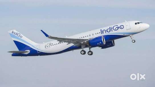 Urgent Requirement For Ground Staff Jobs In IndiGo Airlines