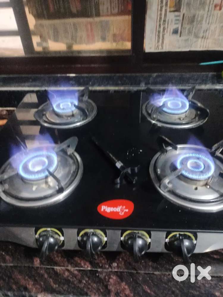 Four gas burner gas pigeon