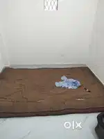 Looking for flat mate male or female