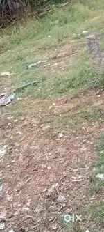 My plot for sale