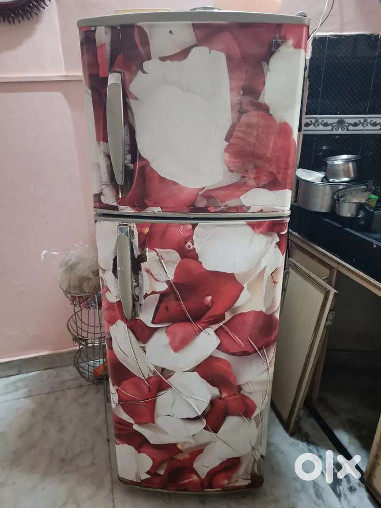 Frost free 230 litre LG refrigerator