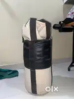 punching bag