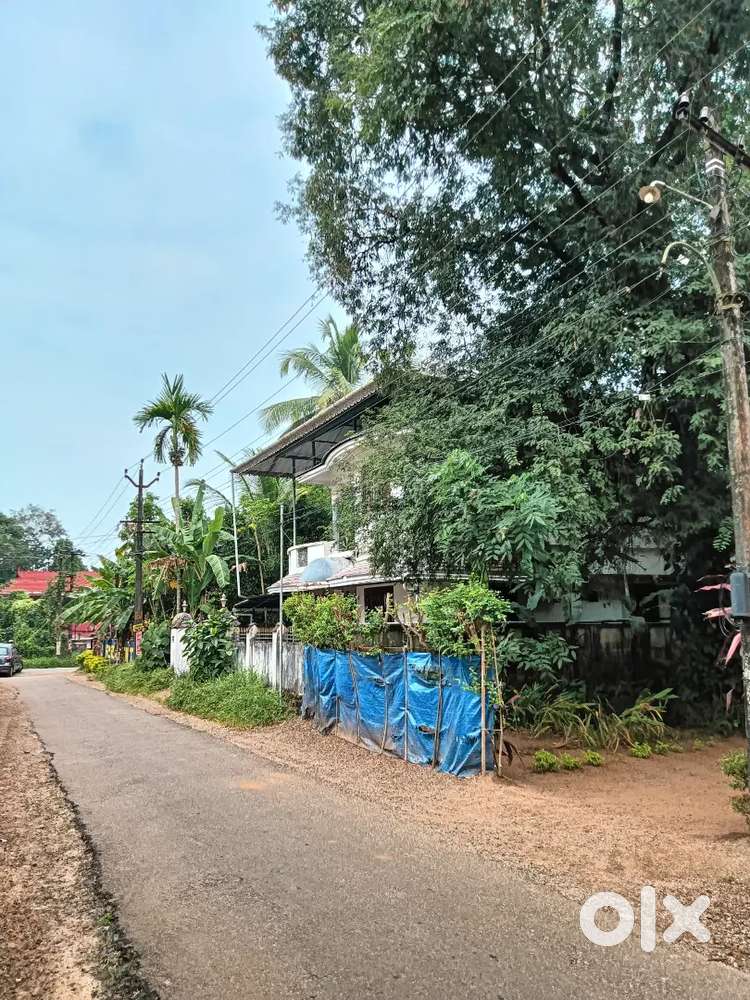 5⅕ സെന്റ് സ്ഥലവും വീടും വിൽപ്പനക്ക്

Near Irinjalakudha