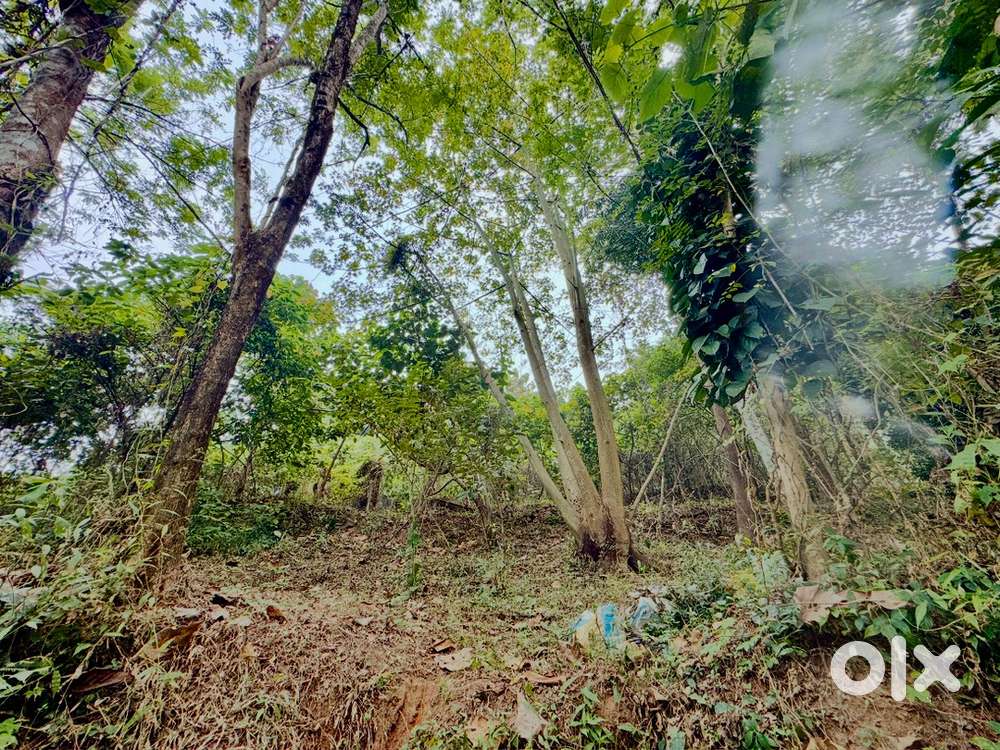 Plot to athani-1.8 km