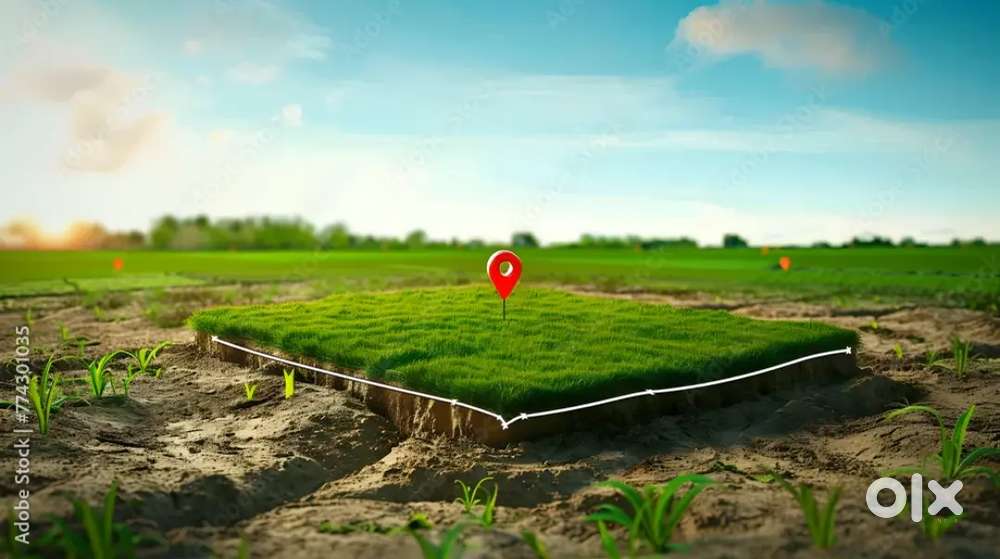 जीवबा नाना मध्ये 1500 प्लॉट विकणे आहे