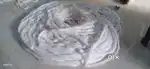 Cotton wicks making machine good condition