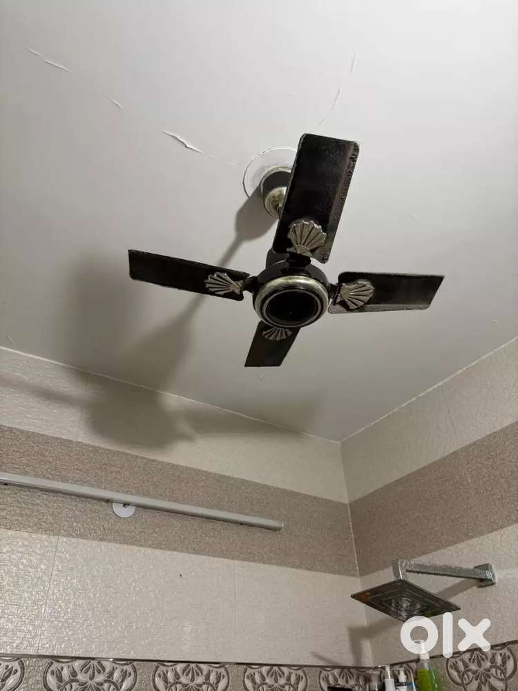 Ceiling fan