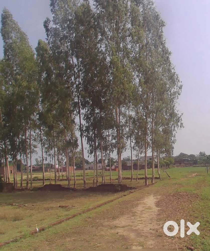 Residential Plot - 100 gaj Modern Village