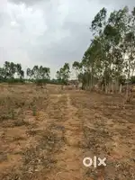 Farm Land for Sale!  - 1 acre 33 gunta farm land