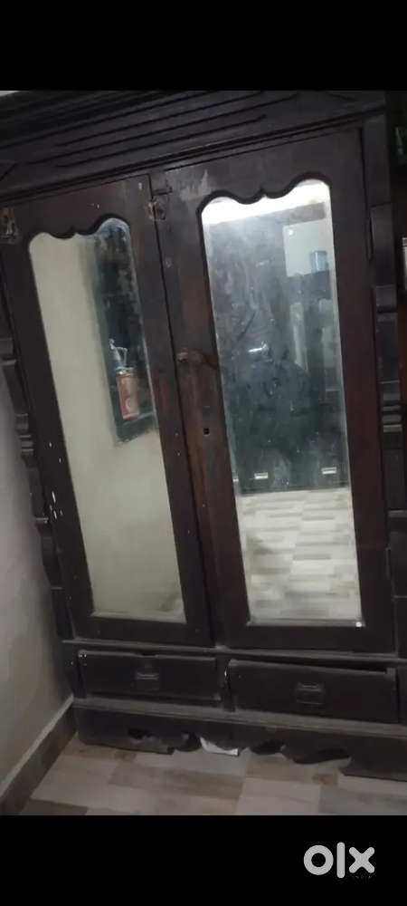 50+ Years old saag ki almari