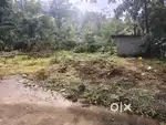 15 cent house float