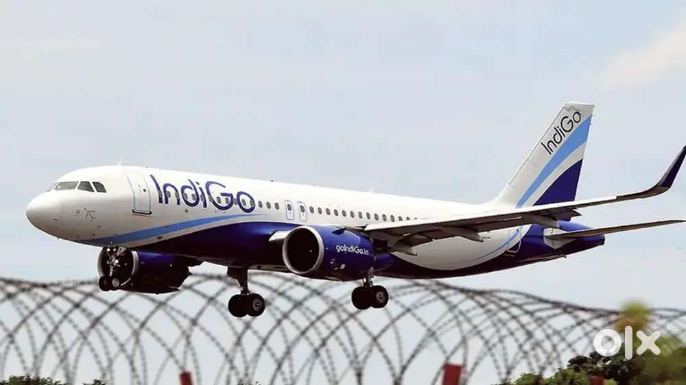 Indigo Airlines jobs /Vacancy for Airport Ground staf / Driver / Crew