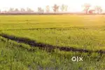 Agriculture land 4.5 acres