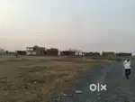 15*50=525000