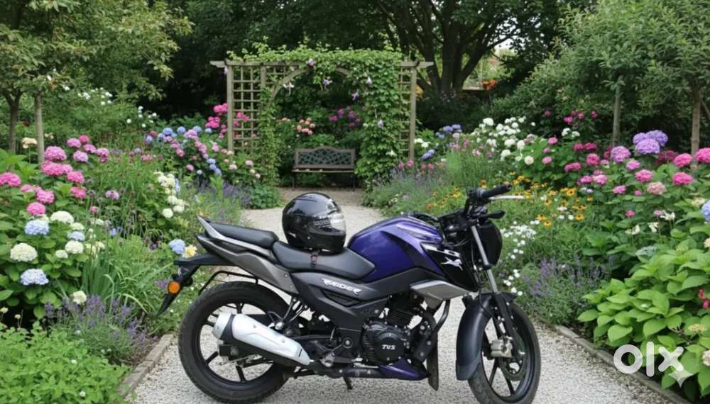 TVS Raider125_Disc_Smart Meter_Fully Laminated Body_Newly TVS Helmet.