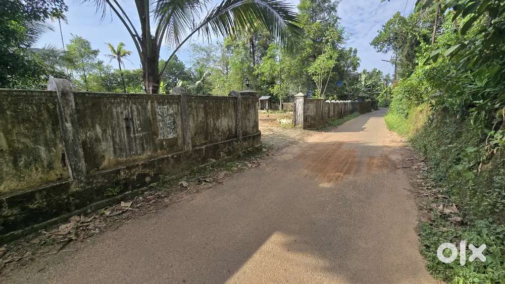 Nedumbassery near airport 25.5 cent house plot for sale immediately