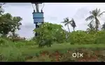 Bengaluru south - 3.20 acre farm land for sale
