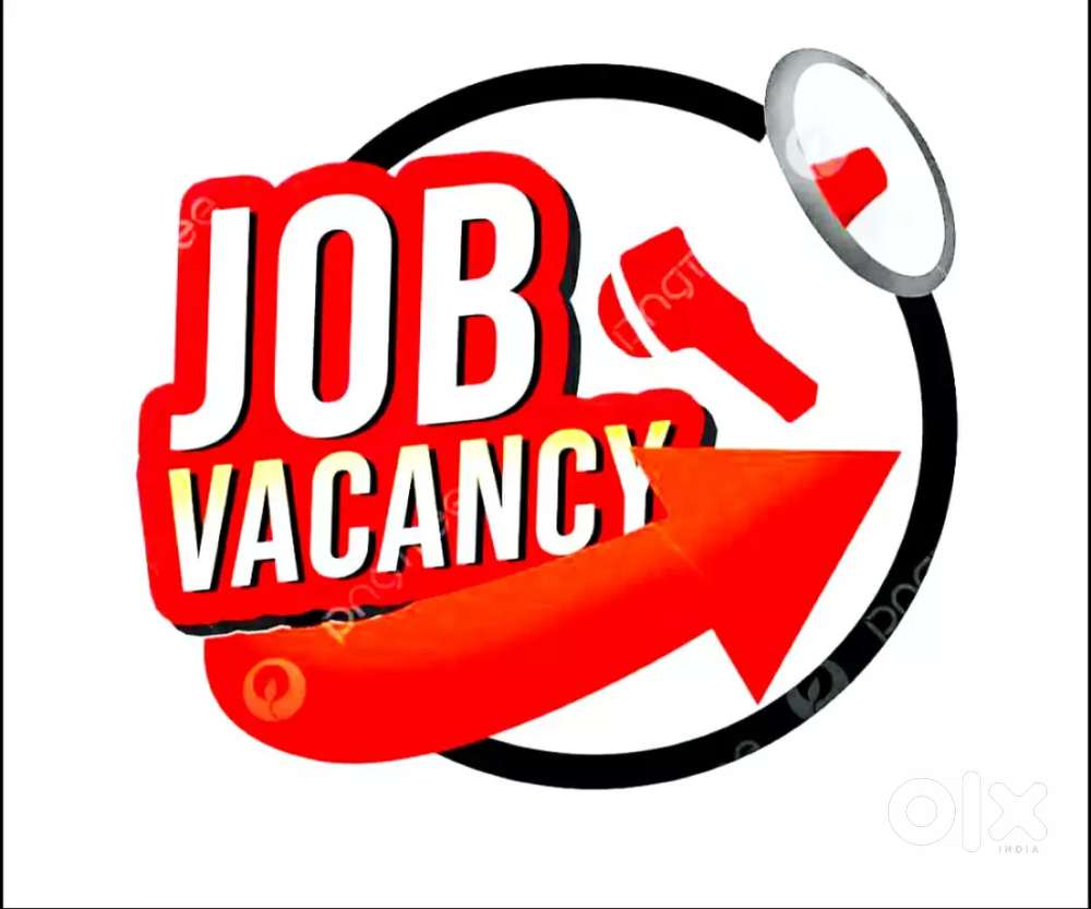 Work Opportunity for office work