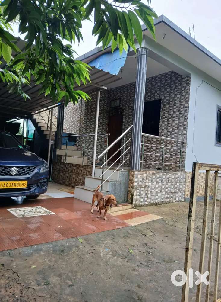 Independent house with car parking with compound walls around