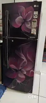 LG Fridge double door
