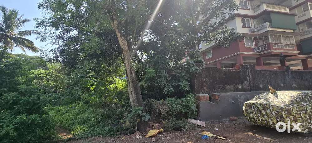 305SQMT PLOT FOR SALE IN MAPUSA DANGUI COLONYFOR