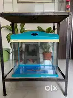 Aquarium with stand