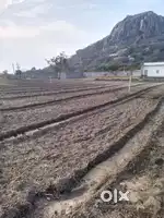 Agriculture land 2.5 acre. 80lac per acre/Negotiable
