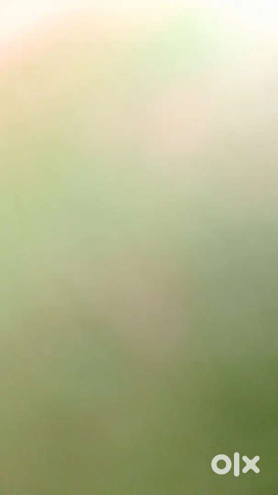 Chinese vda pav pav bhaji