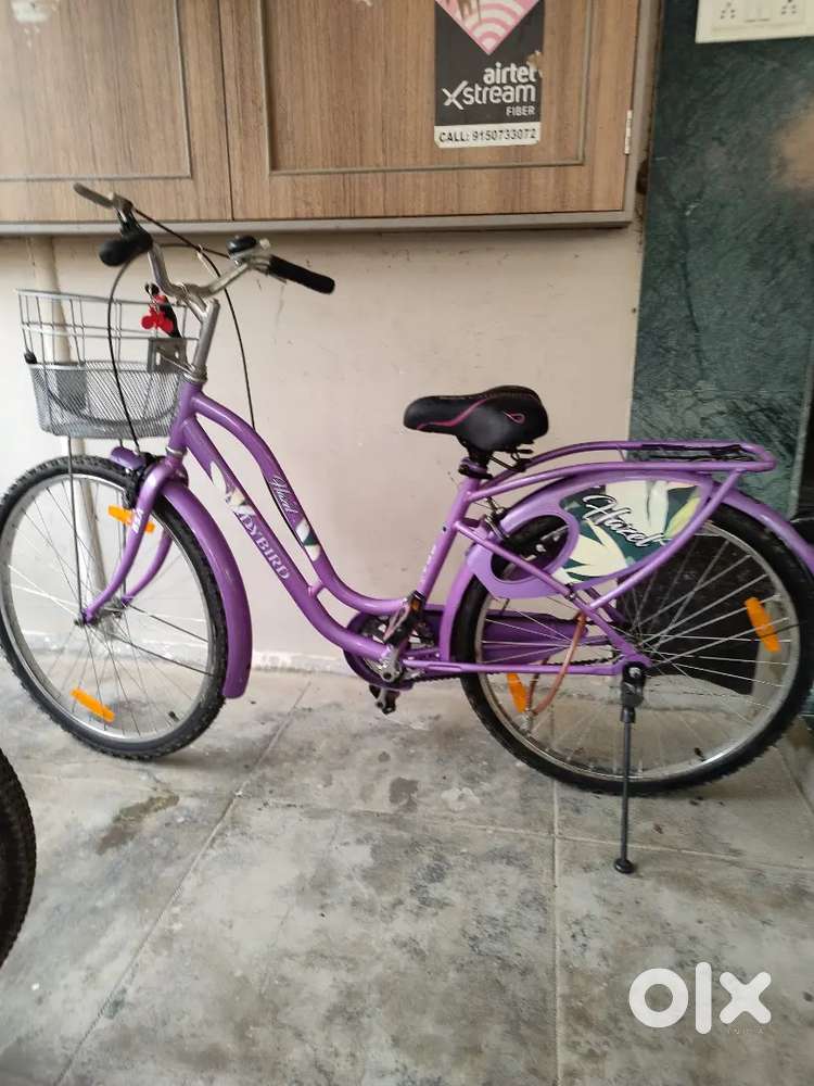 BSA Lady bird cycle... 6 month old