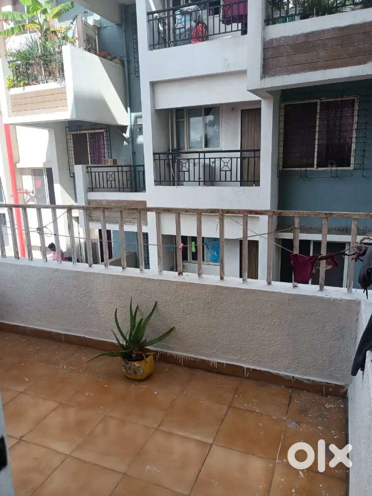 Female Roomate Needed From December