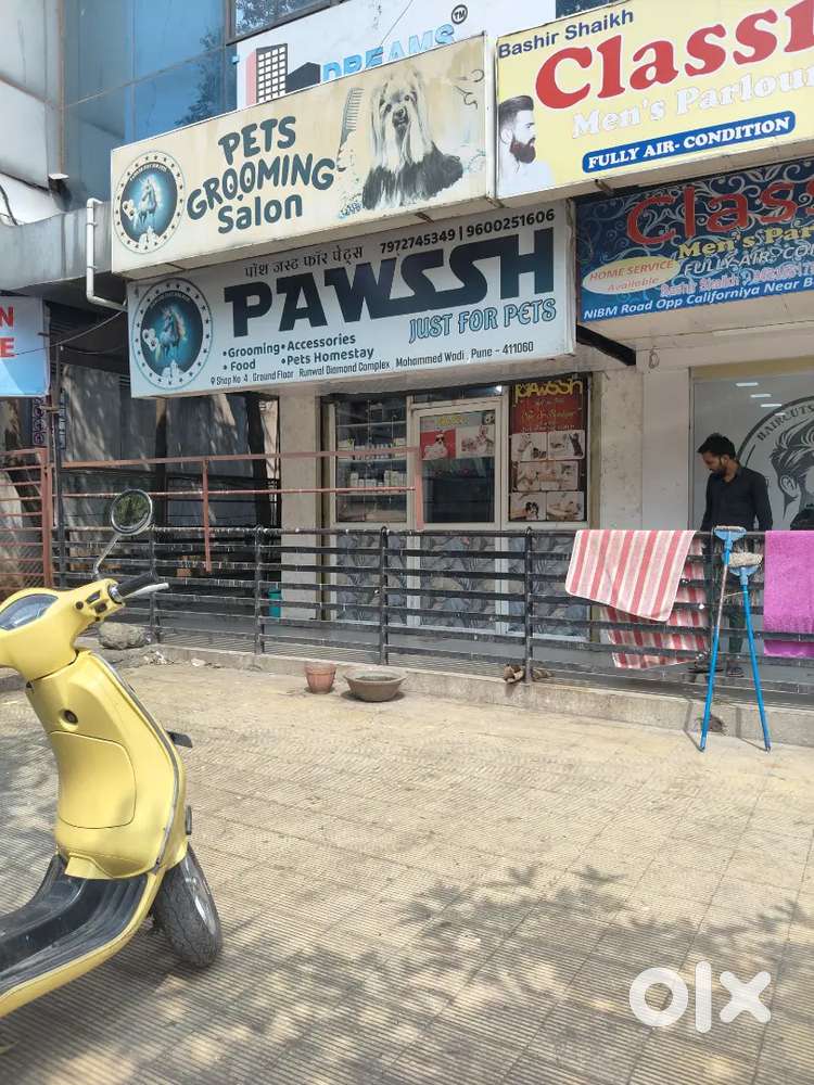 Main road touch shop for see