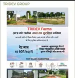 Investment parpas property