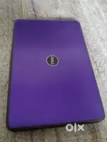 DELL windows