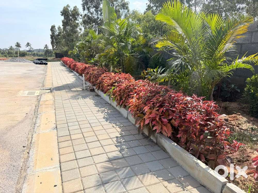 Well, developed plot for sale near Chikka Thirupathi Sarjapura