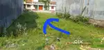 Shimla bahdur mai hai