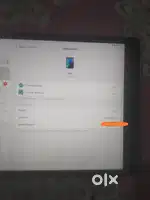 Model- ipadOs18.2