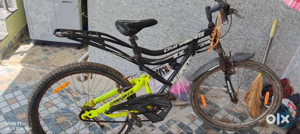 Hercules dynamic 2024