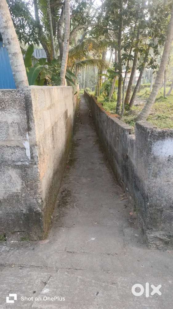 Residential Plot for Sale-Vetturoad kazhakkutam