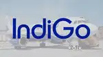 Jobs in indigo Airlines urgent hiring apply fast