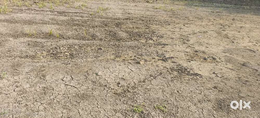 Open plot for sale 10.5 cents