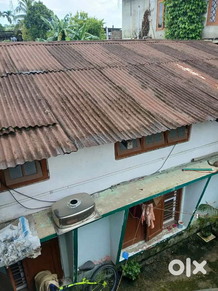 Assam type house