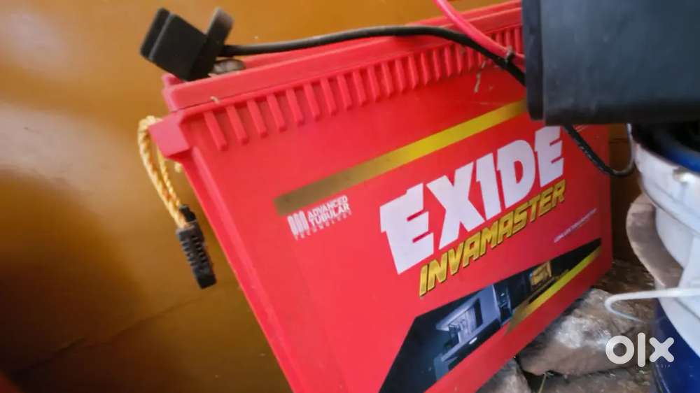 Inverter with tubular battery