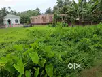 Wanna rent this plot, if u interested to build a shop or any factory
