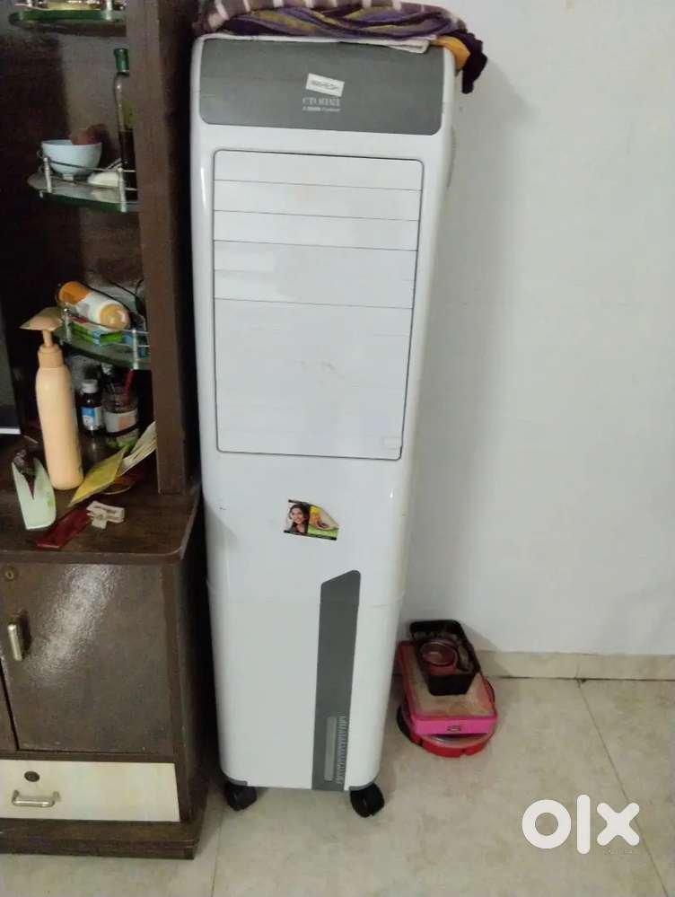 TV showcase and cooler and fridge