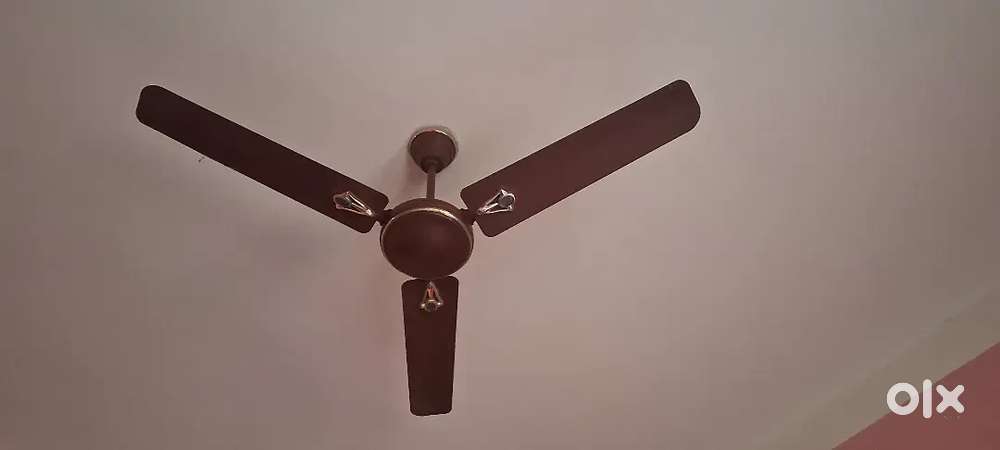 Ceiling fan