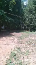Plot for sale