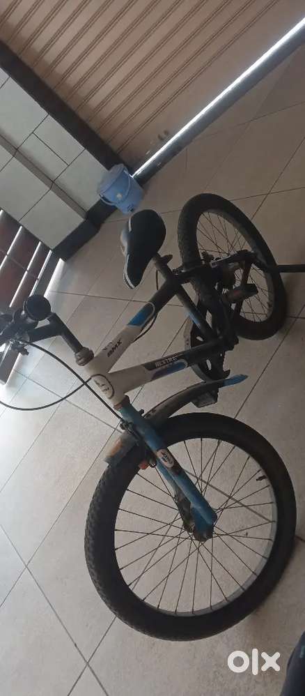 1 year old cycle