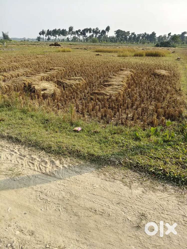 3 kattha land for sale in Piprithan, Bihar
