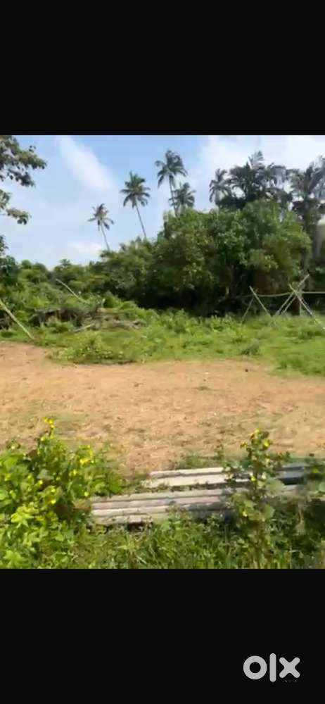 Anjuna Feild Touch Settlement Land For Sale