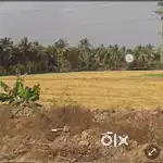 ગળુ પાસે રોડ ટચ ૩૦ વીઘા જમીન વેચવાની છૅ